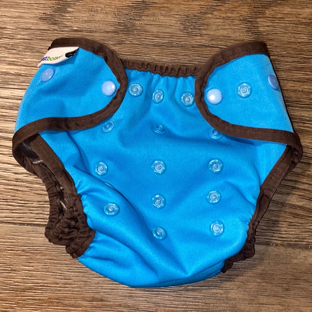 Best Bottom Blue and Brown Diaper Covers one size